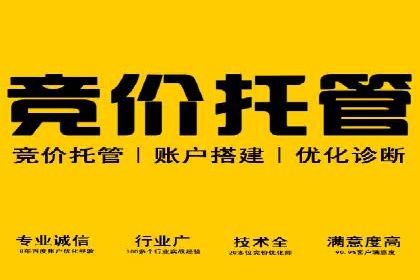 百度竞价托管公司案例：揭秘高效广告投放策略
